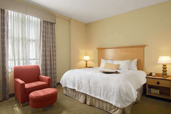 Hampton Inn & Suites Atlanta-Downtown Habitación foto
